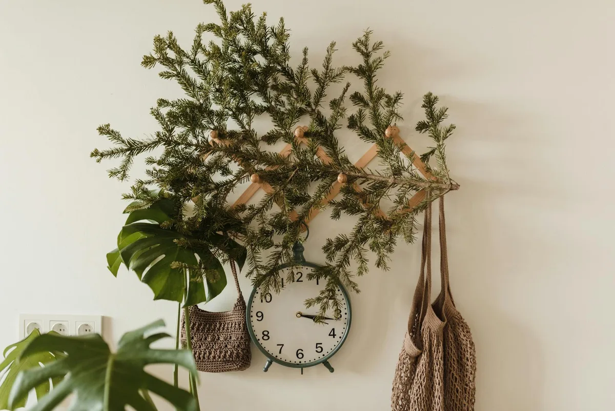 Esposizione murale rustica con rami di pino, orologio e borse intrecciate