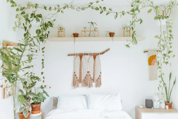 A serene bedroom adorned with hanging plants, minimalist decor, and a cozy ambiance.