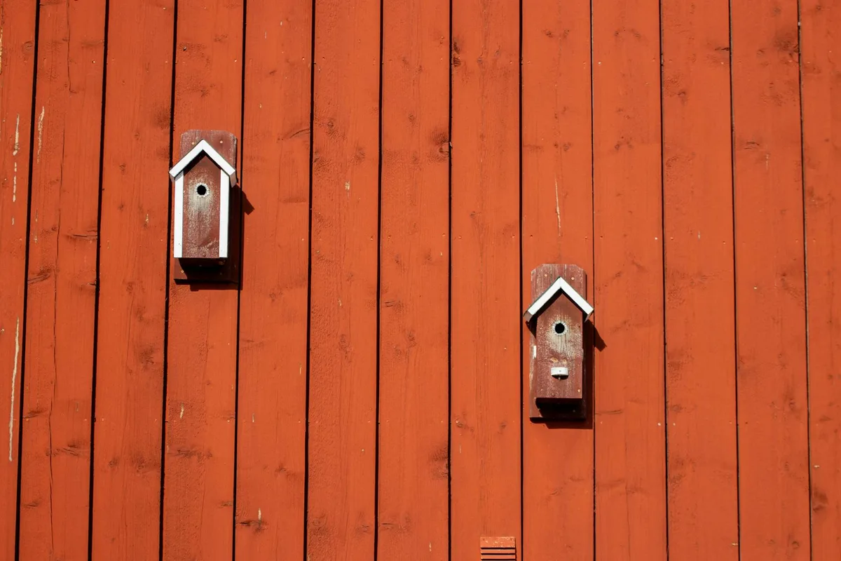 Rote Holzfassade mit zwei Vogelhäusern in Schweden, sonnenbeschienen