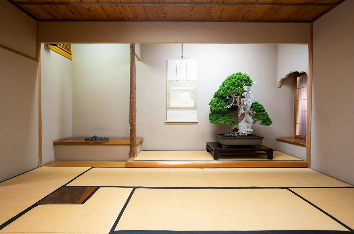 Sala da tè giapponese a Tokyo con bonsai e tatami