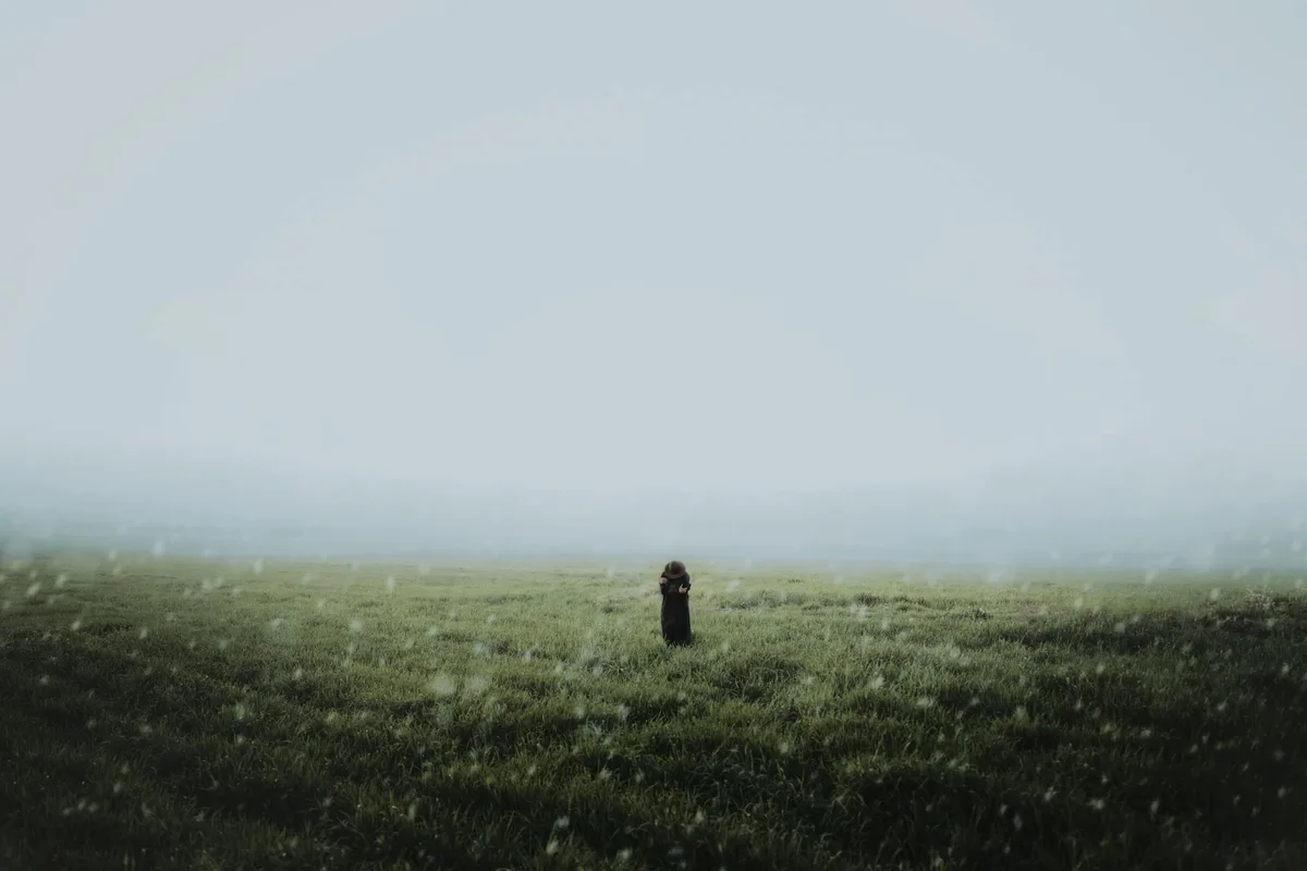 雾中草原站立孤独身影，唤起神秘与孤独的图像。
