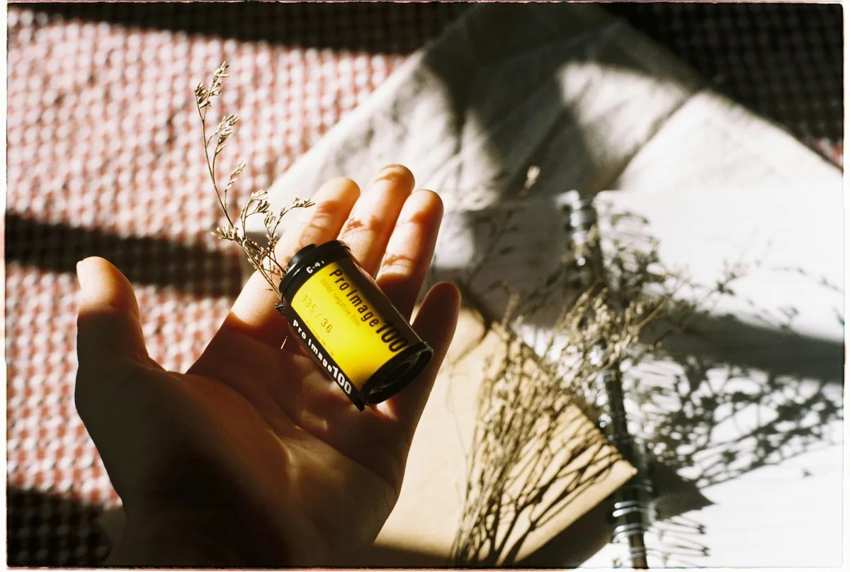 Composizione artistica di una mano che tiene una pellicola, con fiori secchi e luce solare