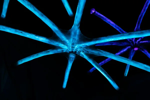 Leuchtende Sternstrukturen mit Tentakeln vor dunklem Hintergrund