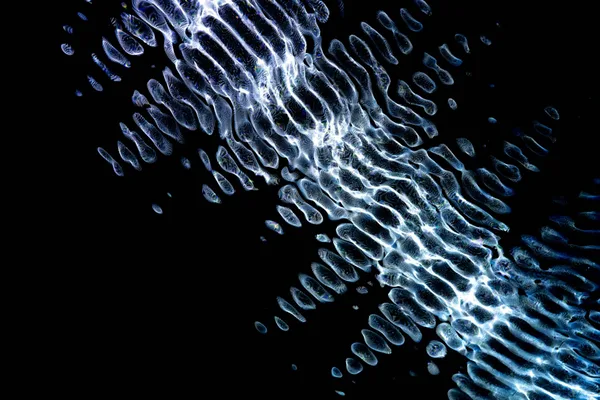 Dynamische Geometriewellen: Digitale Kunst auf dunklem Grund