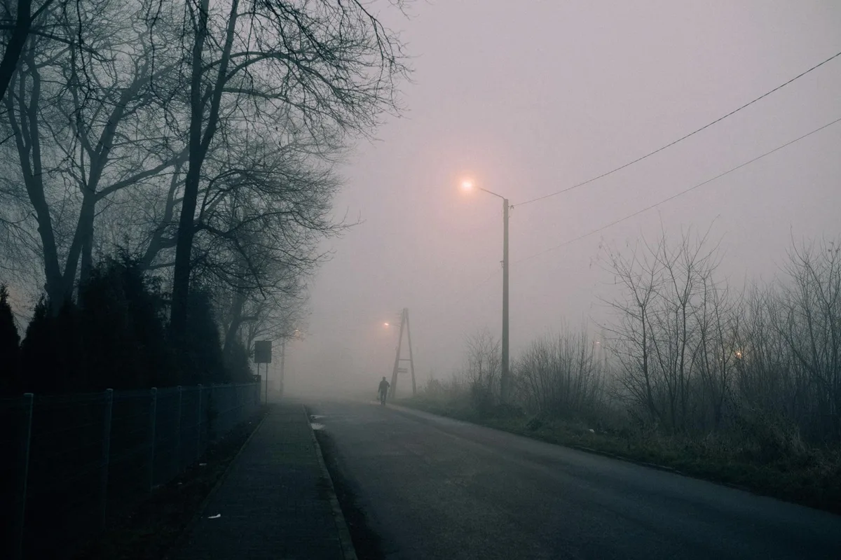 Rue brumeuse et lugubre la nuit avec lampadaires et arbres dénudés