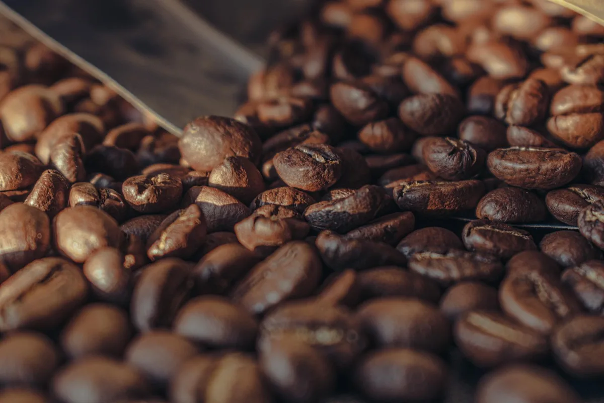 Primo piano di chicchi di caffè tostati con paletta metallica