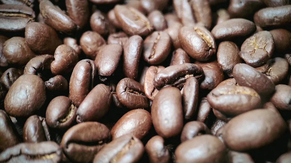 Nahaufnahme gerösteter Kaffeebohnen mit dunkler Olivgrün-Schwarz-Palette