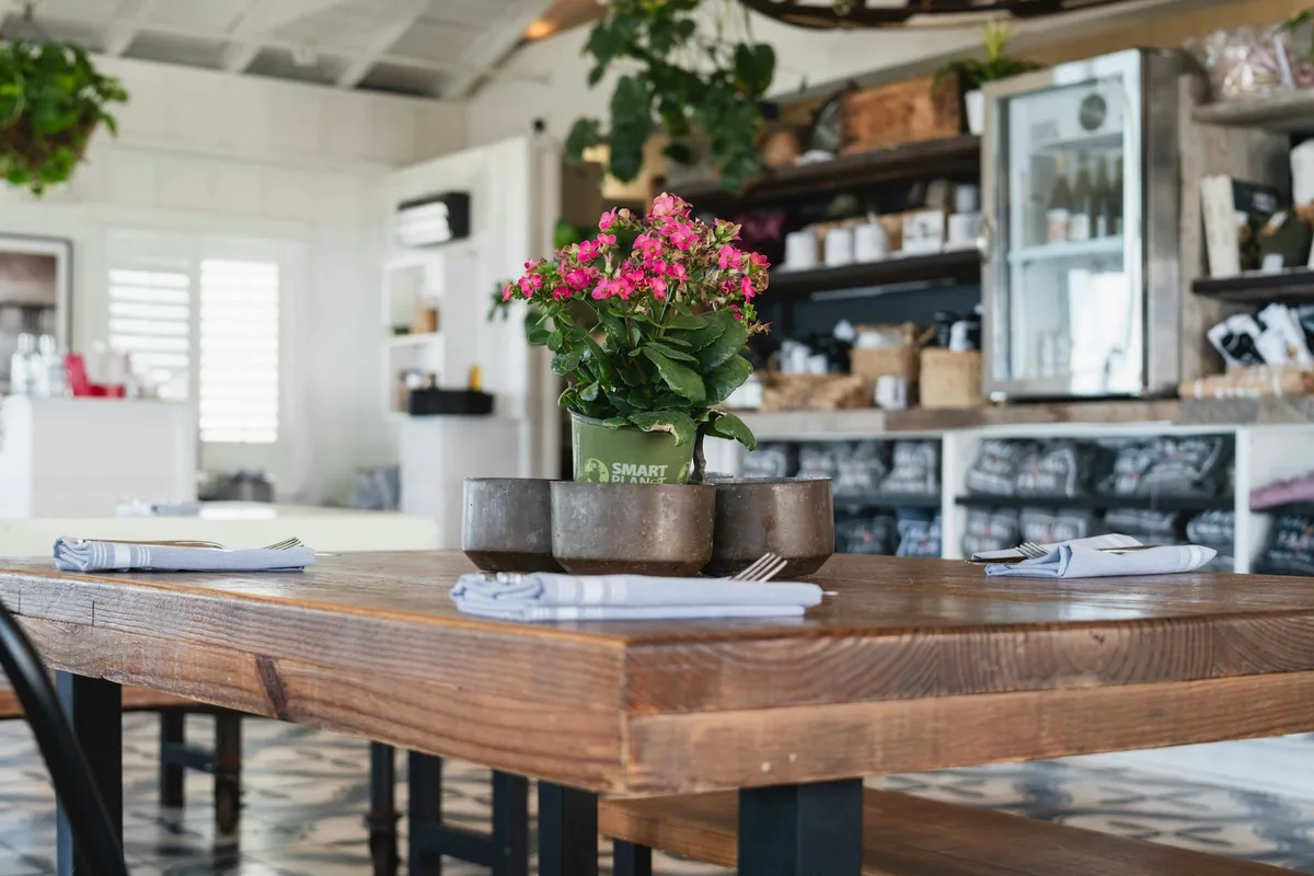 말리부 카페 인테리어, 러스틱과 코스탈 스타일의 조화