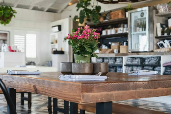 Explore a cozy cafe in Malibu with rustic furniture and coastal decor, perfect for relaxed dining.