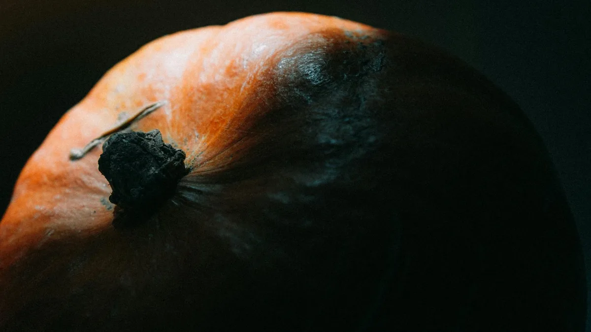 Primer plano de calabaza con iluminación claroscuro sobre fondo oscuro