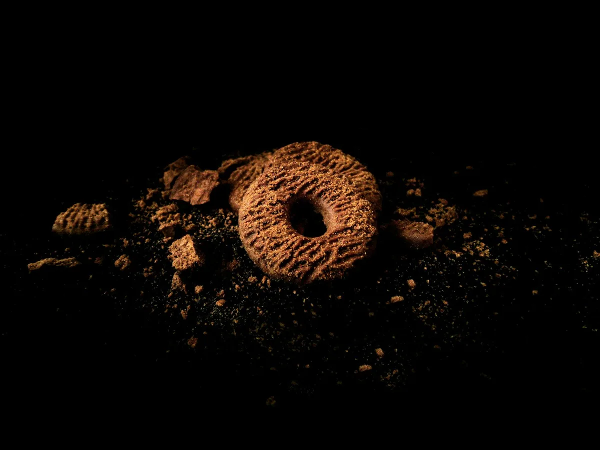 Stimmungsvolle Nahaufnahme eines Schokoladenkekses mit Krümeln auf dunklem Hintergrund, die Genuss und Textur zeigt