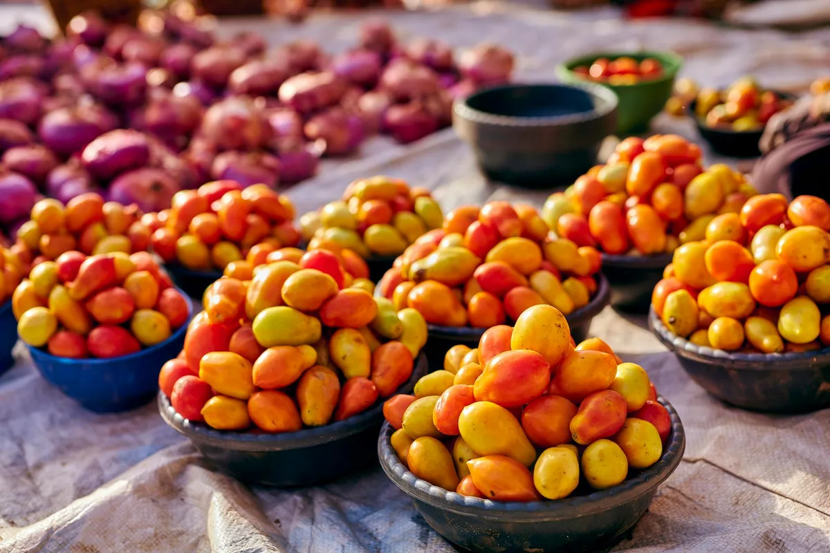 Étalage vibrant de tomates et oignons frais sur un marché en plein air
