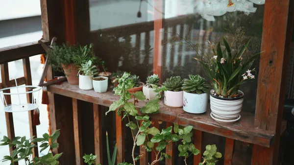 A cozy balcony adorned with a variety of potted succulents and plants, offering a touch of nature.