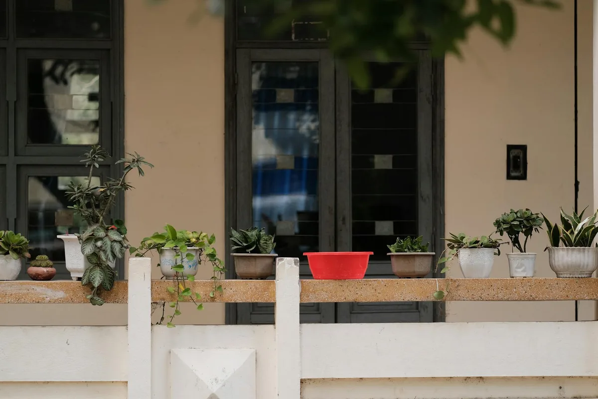 Varanda tranquila com vasos de plantas e recipiente vermelho para jardinagem