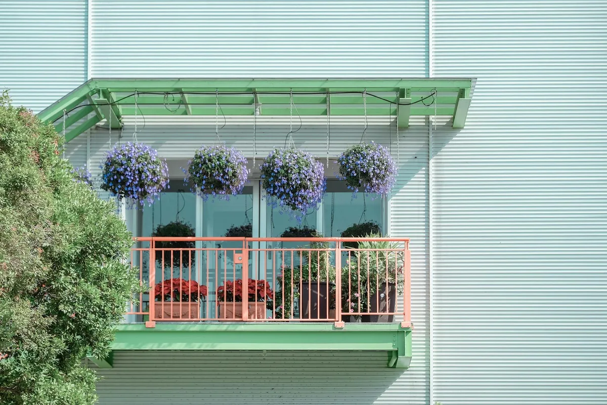 Lebendiger Balkon mit hängenden violetten Blumen und Topfpflanzen an moderner Fassade