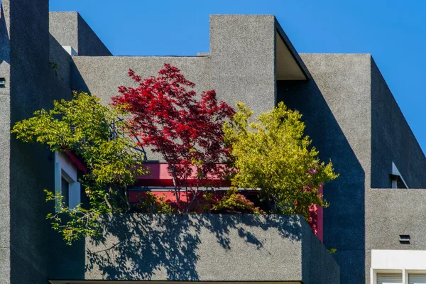 A vibrant balcony on a modern concrete building adorned with red and green foliage under a clear blue sky.