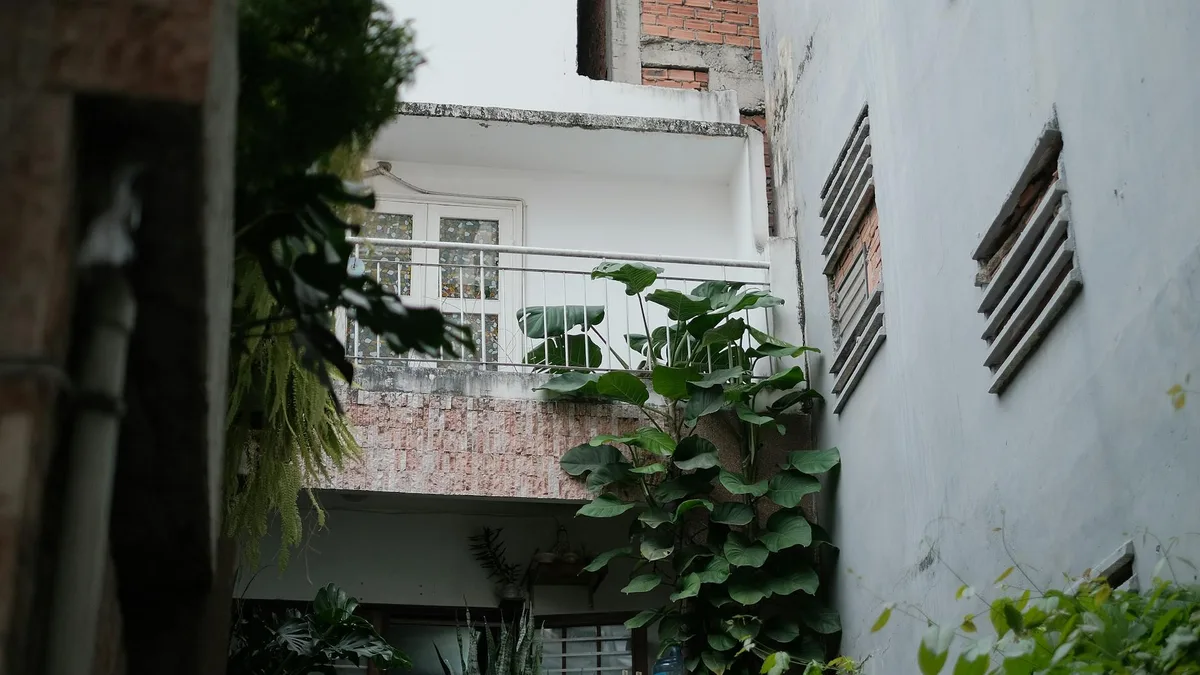 Außenbalkon mit lebendigen grünen Pflanzen vor urbaner Architektur