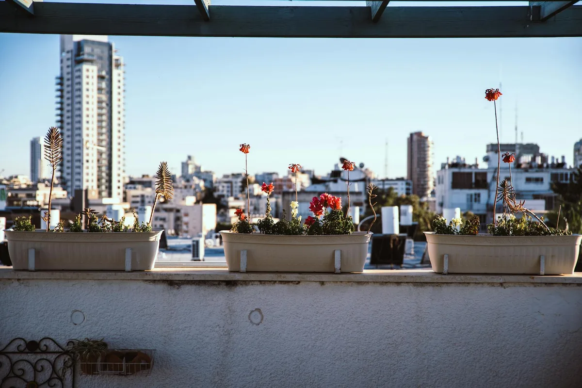 Vista do horizonte urbano de uma varanda com vasos de flores sob um céu azul claro