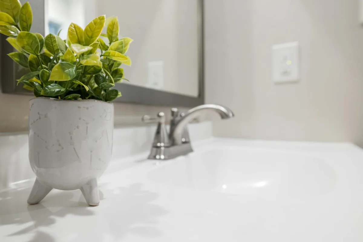 Primo piano di pianta in vaso accanto a rubinetto cromato