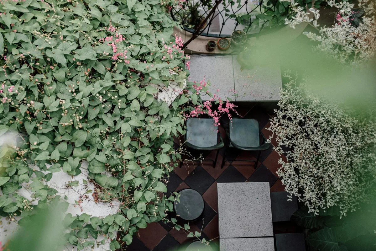 Vista aérea de jardim sereno com vegetação exuberante e flores rosas destacando área de estar