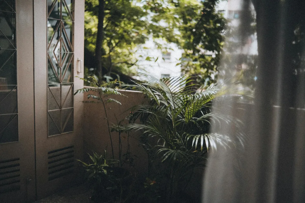 평화로운 발코니, 푸른 식물과 자연광이 있는 트로피컬 홈 오아시스