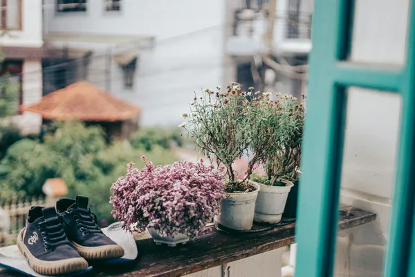 Shoes on a charming balcony with blooming flowers and city view. Perfect for lifestyle and leisure themes.
