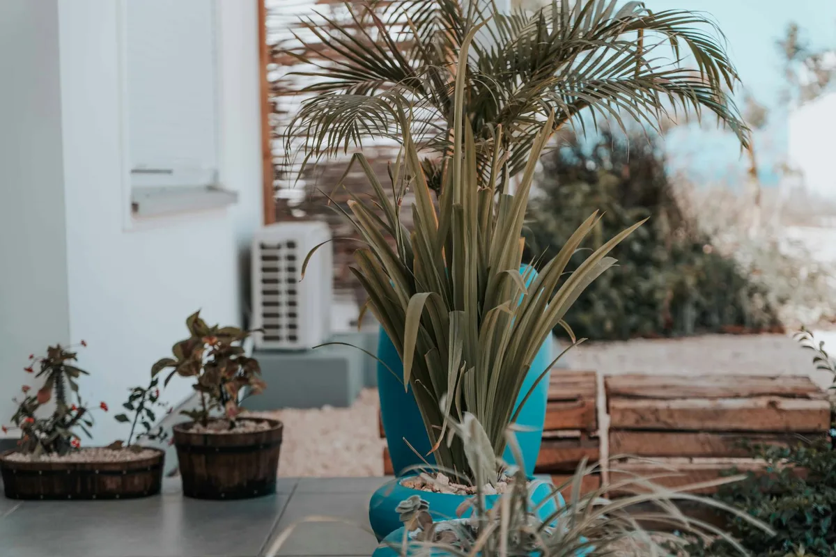 青い鉢のヤシと多様な鉢植えを備えた屋外パティオ