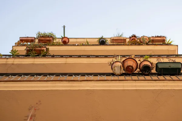 Upward view of urban balconies adorned with potted plants in neutral tones.