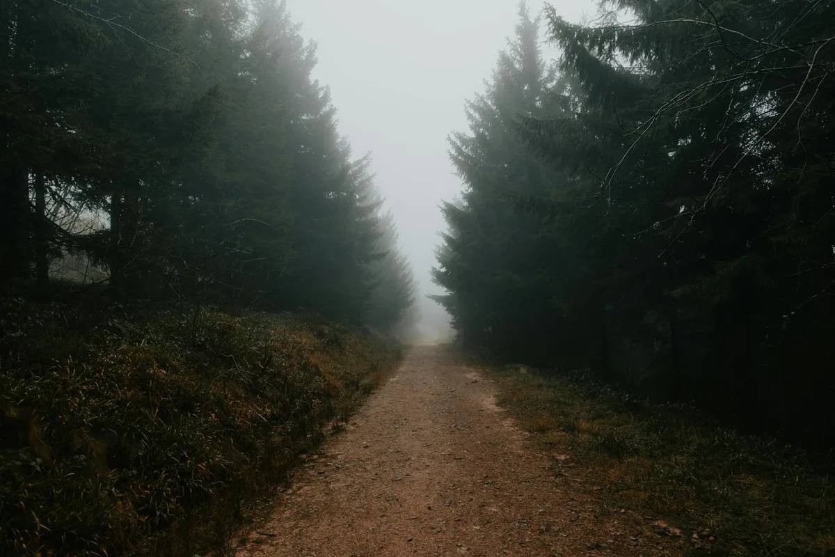 Sentiero nebbioso attraverso una foresta oscura e fumosa con atmosfera cupa e misteriosa