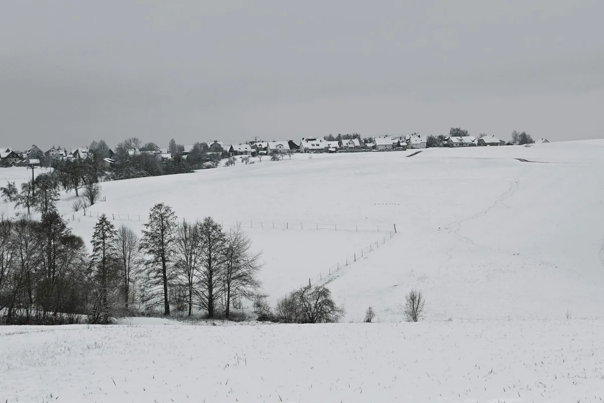 Зимний пейзаж Ауэнвальд: заснеженные поля и деревья