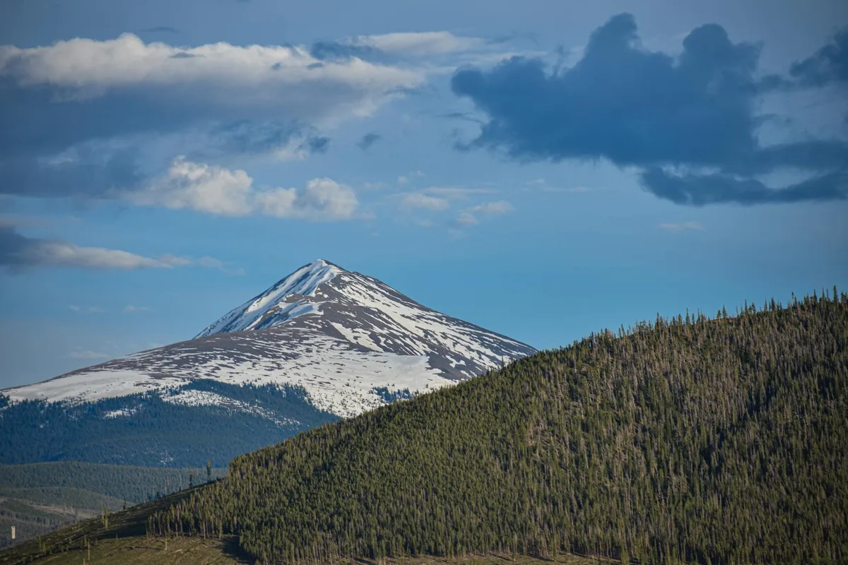 Vetta innevata e foreste rigogliose contro un cielo azzurro brillante
