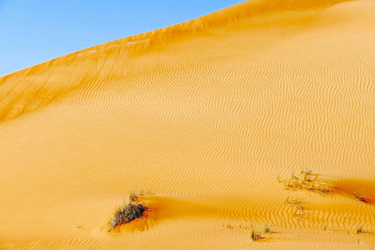 Gewellte goldene Sanddünen mit spärlicher Vegetation und blauem Himmel