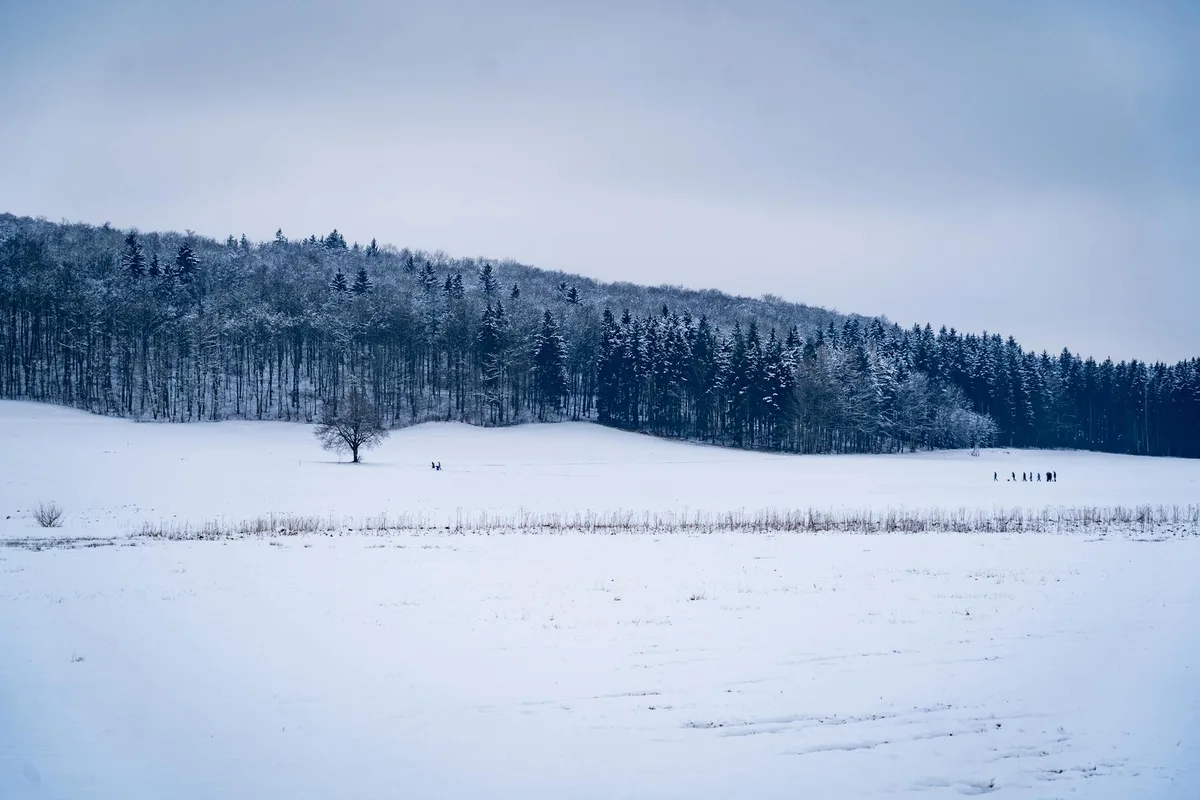Paesaggio innevato tranquillo a Lenningen, Germania, con campo e escursionisti in lontananza