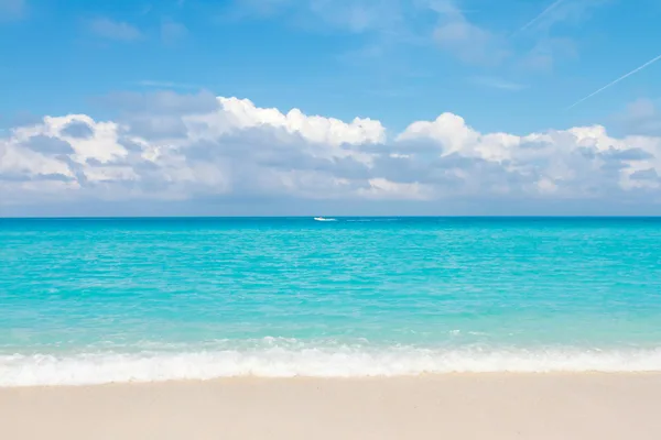 Spiaggia tropicale tranquilla con acqua turchese e cielo soleggiato, perfetta per viaggi e relax.