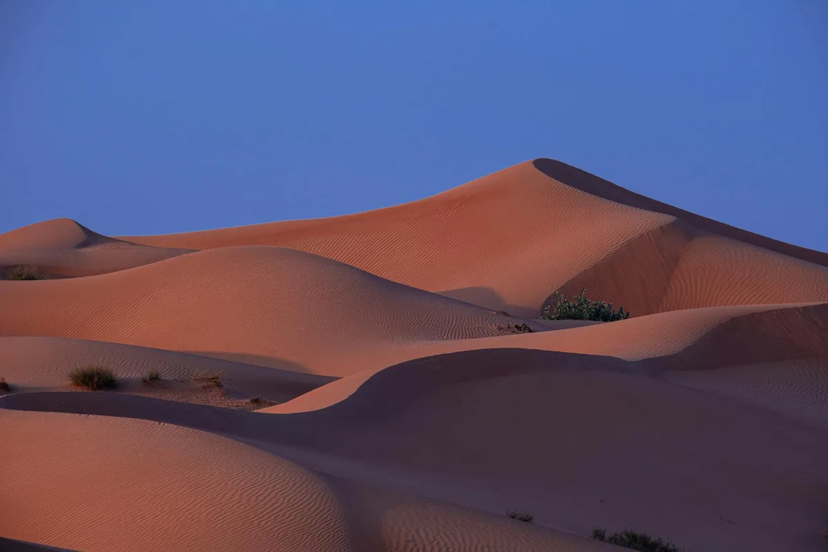 Vista tranquilla di dune di sabbia nel deserto al crepuscolo, che mostra la bellezza naturale.