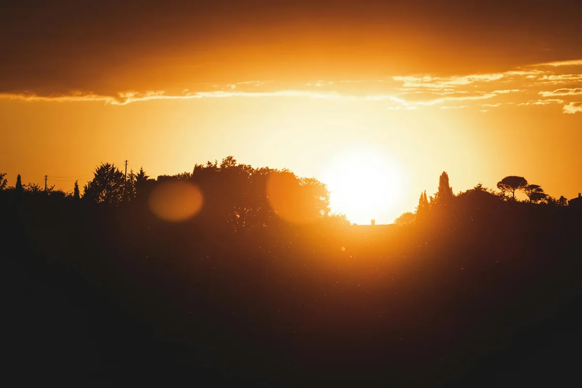 Tramonto vibrante che proietta sagome sulla linea degli alberi, creando una vista scenica calda.