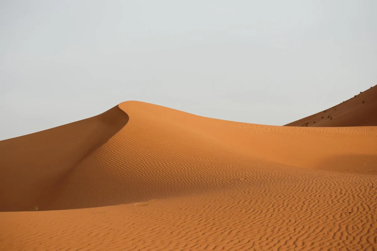 Dune di sabbia increspate a Drâa-Tafilalet, Marocco, immensità del Sahara