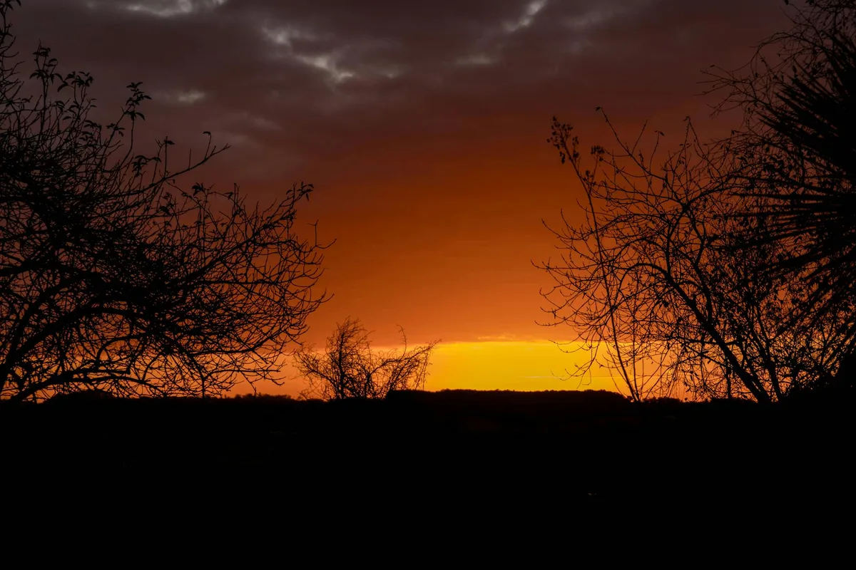 Energetische Sonnenuntergangsfarben über Landschaft mit dramatischen Wolken und silhouettierten Bäumen