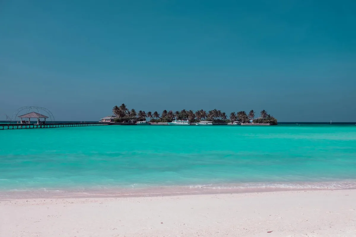 Île tropicale magnifique avec palmiers et océan turquoise sous un ciel clair.