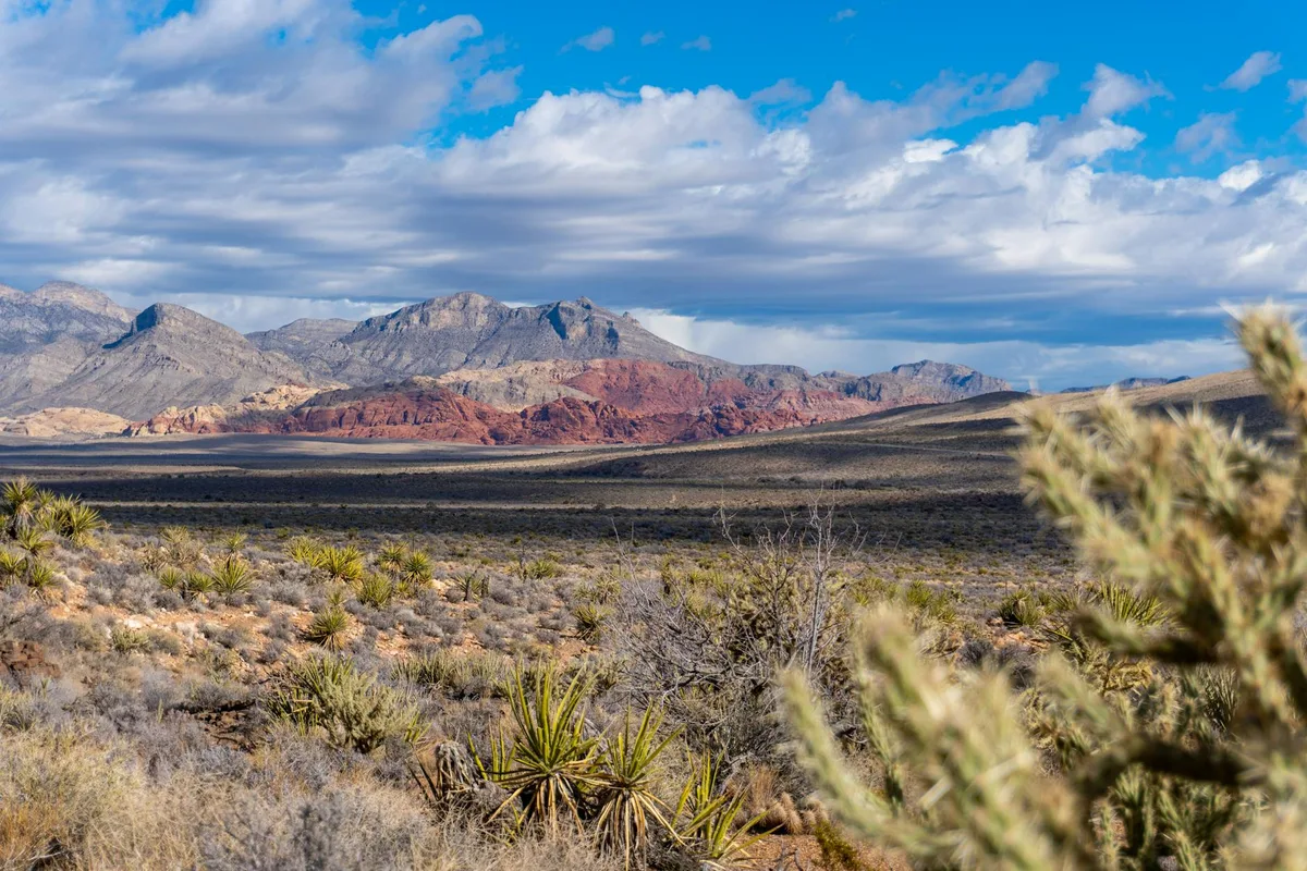 Panorama mozzafiato del terreno accidentato e delle formazioni rocciose del Red Rock Canyon in Nevada