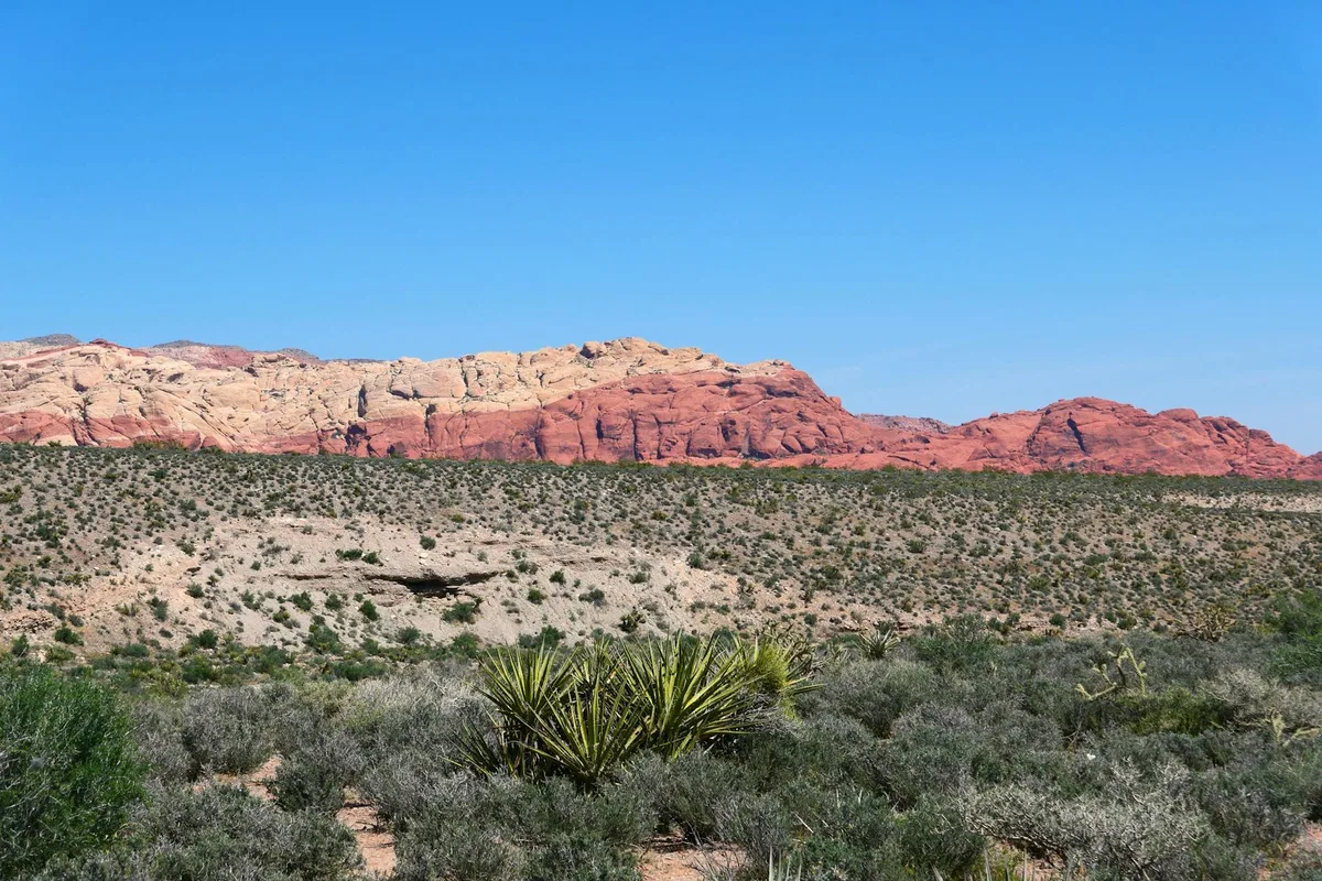 Deserto vibrante di Red Rock Canyon sotto cieli azzurri