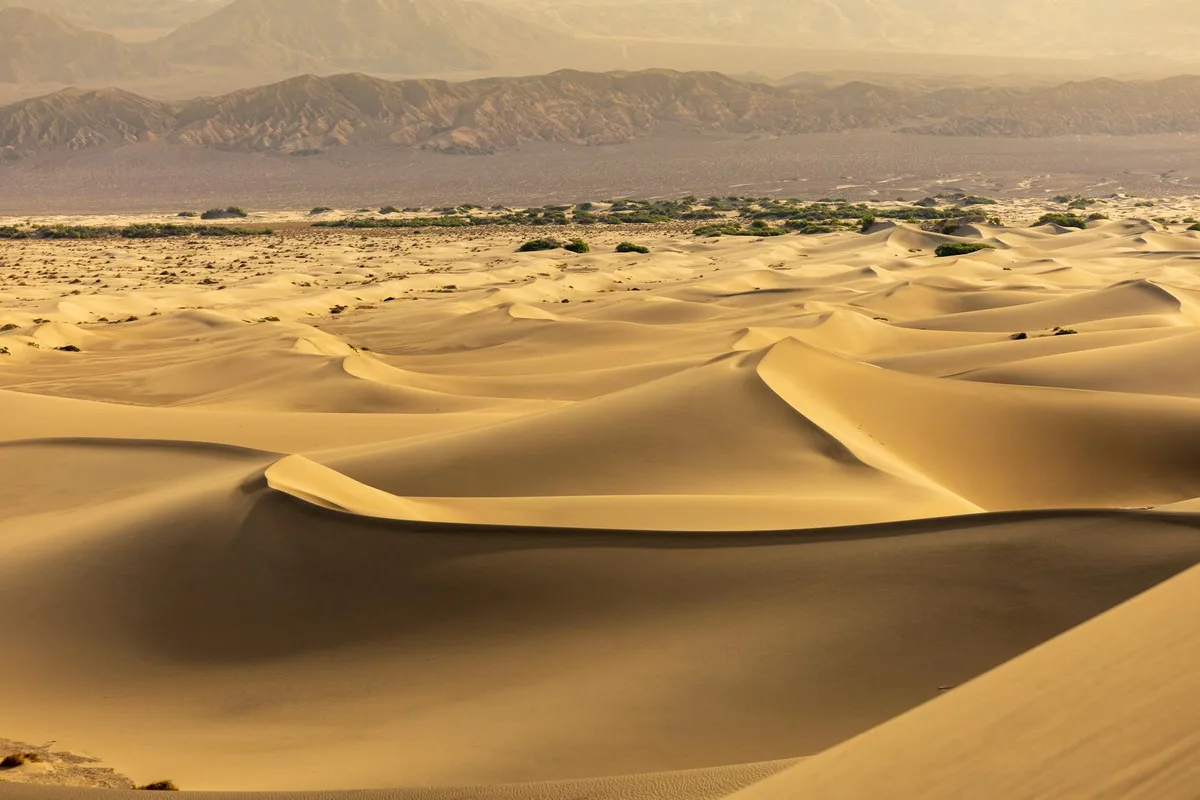 Fesselnder Blick auf wellenförmige Sanddünen unter warmem Sonnenlicht in einer weiten Wüstenlandschaft