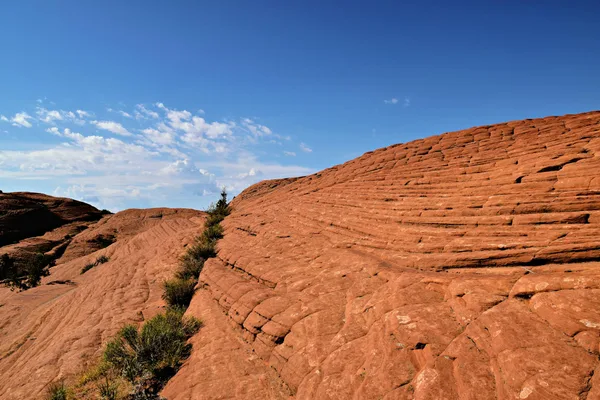 Bellezza di formazioni rocciose rosse erose e cielo azzurro limpido