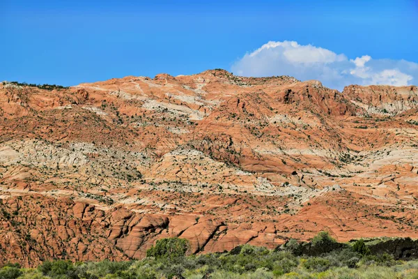 Atemberaubende rote Felsformationen einer Schlucht unter klarem blauen Himmel