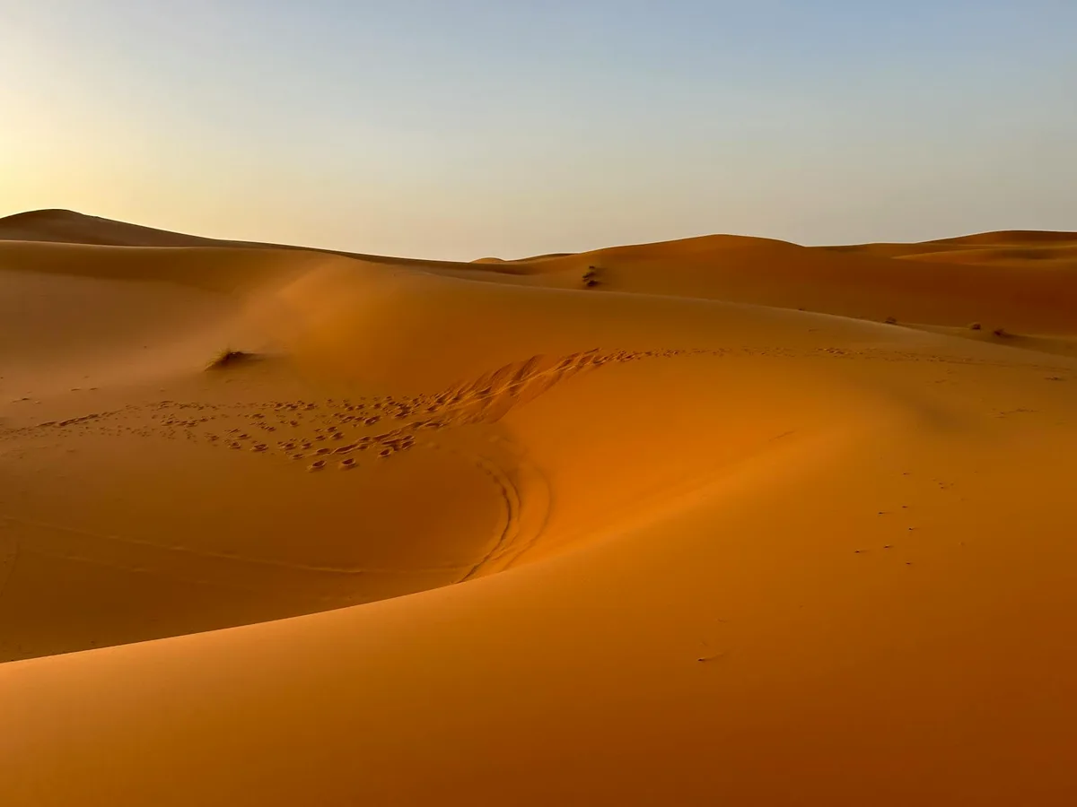 Dune di sabbia dorata del Sahara sotto un cielo limpido in Marocco