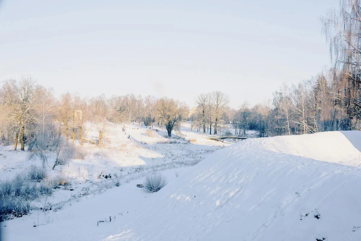 Idyllische Schneelandschaft mit kahlen Bäumen und sanftem Winterlicht