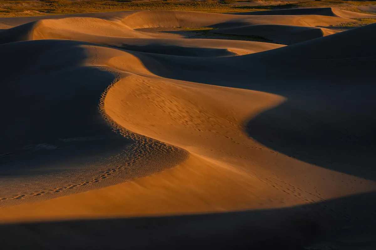 Maestose dune di sabbia in Colorado al tramonto con tonalità dorate