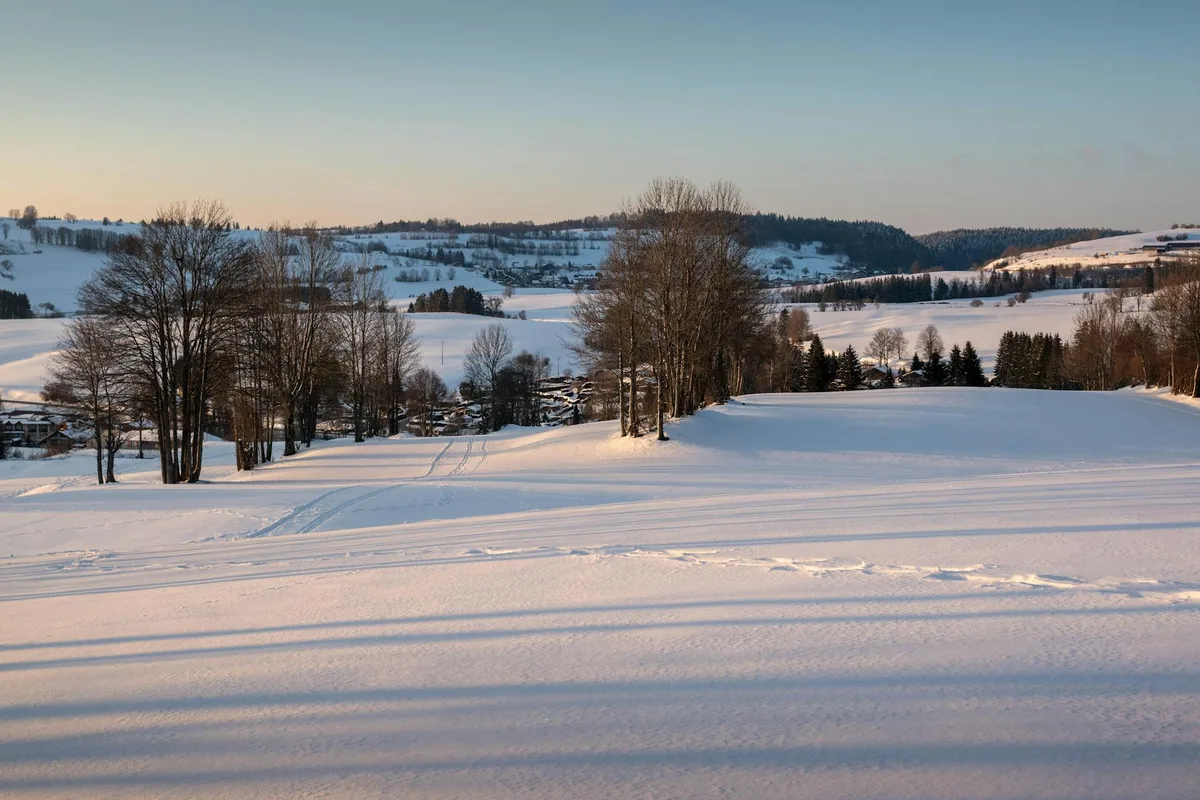 Scena invernale serena con campi innevati e alberi spogli sotto un cielo limpido