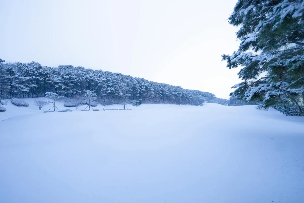 Unberührte Schneelandschaft: Winterliche Schönheit in Hwaseong, Südkorea