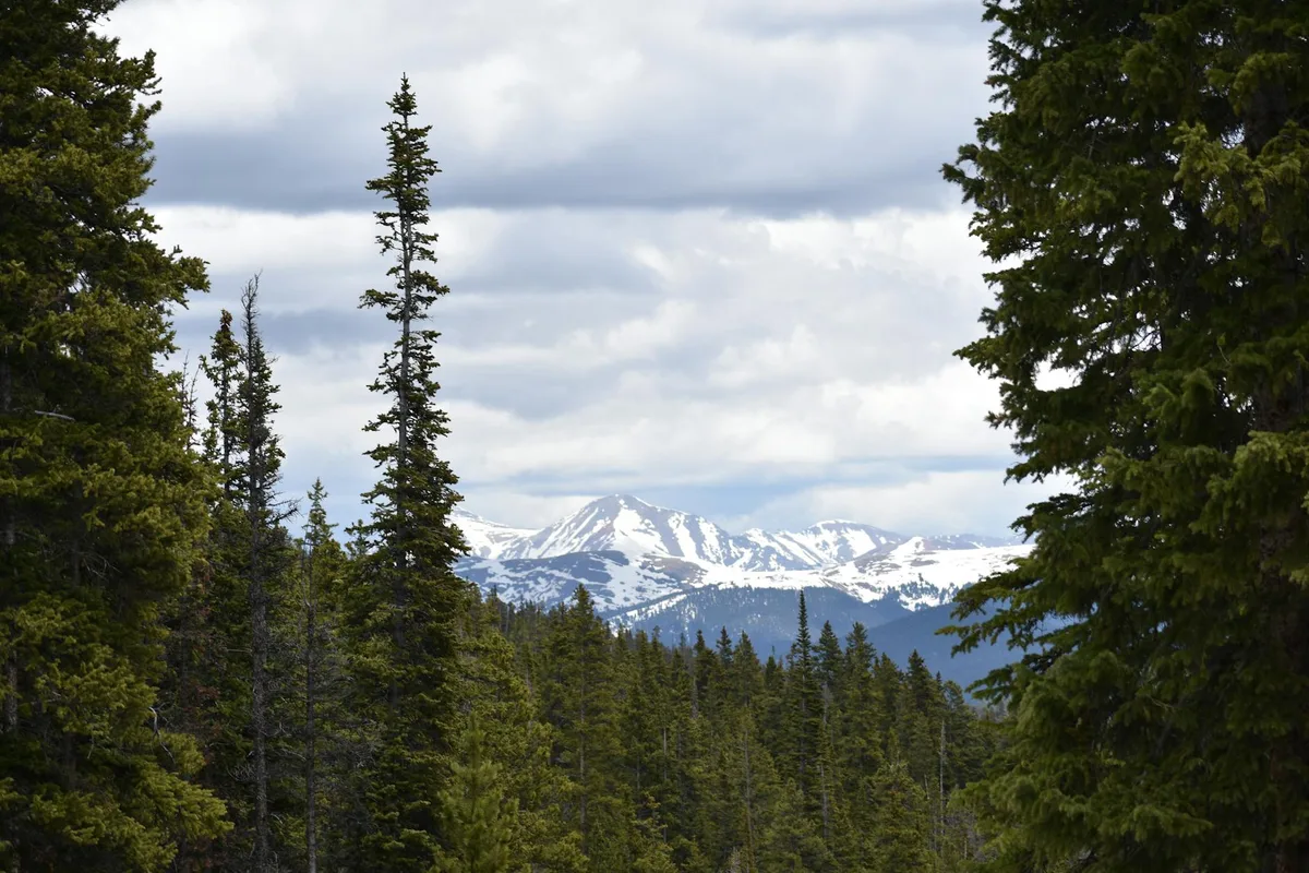 Vette innevate e foreste alpine nelle Montagne Rocciose del Colorado